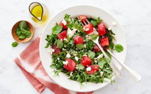 ﺳﻠﻄﺔ اﻟﺠﺮﺟﻴﺮ